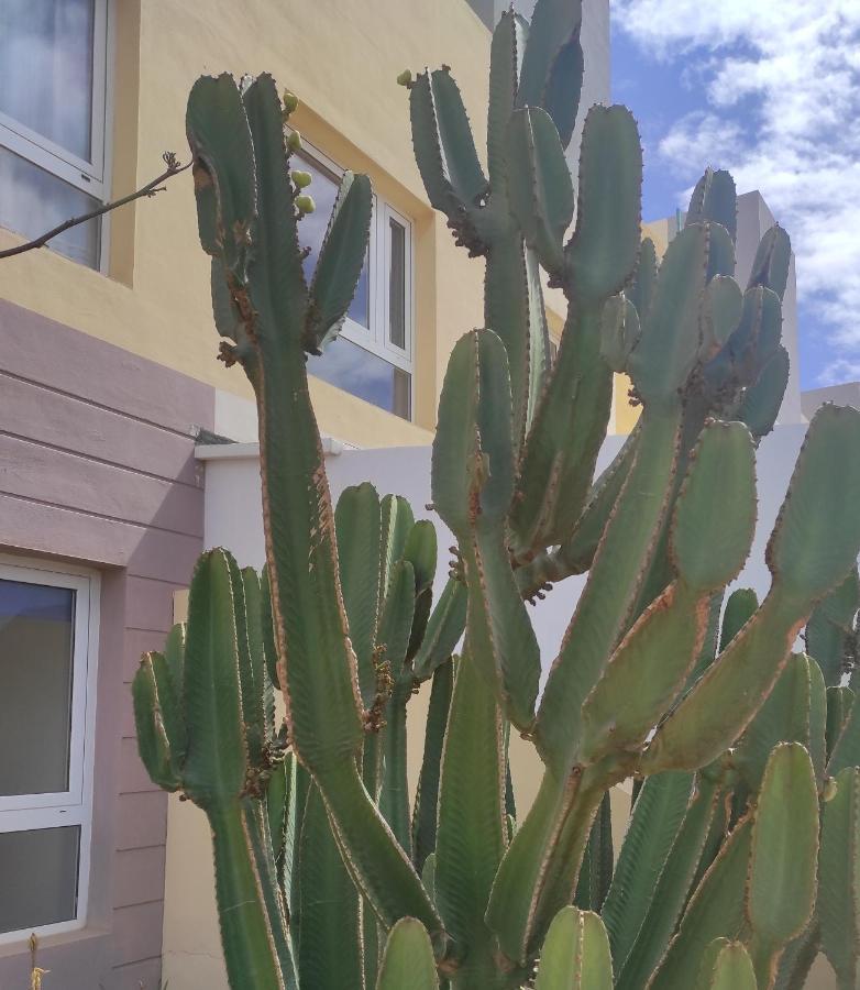 Apartamento Con Azotea Privada #Thefunnycactus Διαμέρισμα Puerto del Rosario  Εξωτερικό φωτογραφία